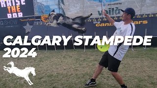 Calgary Stampede 2024 Canine Stars in 4K Stunt Dog Show!