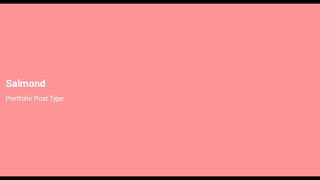 Portfolio Post Type