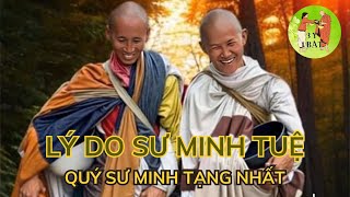 Thầy Minh Tuệ QUÝ SƯ MINH TẠNG NHẤT ĐÂY LÀ LÝ DO | | #thayminhtue