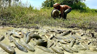 ដើរចាប់ត្រីតាមវាលស្រែបានច្រើនណាស់