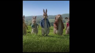 peter rabbit 比得兔 抖音配音惡作劇卡通片精選视频搞笑合集开心笑话 Happy Funny Chinese Video Jokes Tik tok China / Douyin