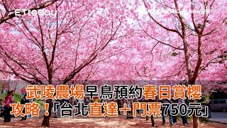 早鳥預約春日賞櫻！武陵農場美照攻略「台北直達＋門票750元」