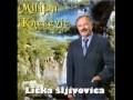 milijan kneŽeviĆ papuČar