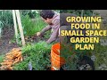 GROW MORE FOOD in LESS SPACE