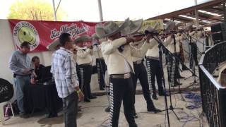 Viva el Mariachi - Mariachi Vargas de Tecalitlán 05 de febrero 2017 Lienzo Charro Hermanos Ramírez