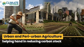 Urban and peri-urban agriculture: helping hand in reducing carbon stock