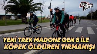 Yeni Trek Madone Gen 8 ile Köpek Öldüren yokuşunu tırmanalım.