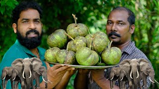 ചൈനയിൽ നിന്നും ആന ആപ്പിൾ🍎 ELEPHANT APPLE കഴിച്ചിട്ടുണ്ടോ??? Dillenia indica Cooking Kerala