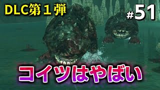 【ダークソウル2初見】ダクソ2のなりそこないが強くてビビる【DLC】 #51