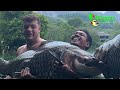 Gillhams Fishing Resorts, Krabi, Thailand - Siamese Carp March 2024