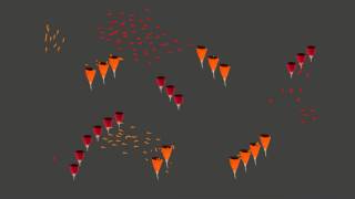Boids Animation