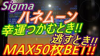 【メダルゲーム】Sigma　ハネムーン　MAX50枚BET!!　幸運を掴むとき!!　逃すとき!!（2018.09.27）