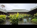 tranquil rainfall in a traditional japanese house with a serene pond