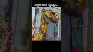 శ్రీ పార్వతీ పరమేశ్వరుల కల్యాణం🙏🥰| #konaseemaammayiyt #highreach #kalyanam #shivaparvati #shortvideo