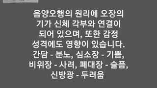 음양 오행 오장육부가 미치는 성격