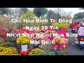 Chợ Hoa Bình Trị Đông Bình Tân Chiều 28 tết 2024