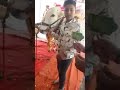 गौरी गाई चा डोहाळे सोहळा cow baby shower ❤️