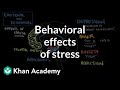 Behavioral effects of stress | Processing the Environment | MCAT | Khan Academy Behavioral effects of stress | Processing the Environment | MCAT | Khan Academy
