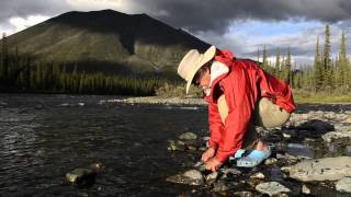 Precious Peel - David Suzuki explores a wild Yukon watershed