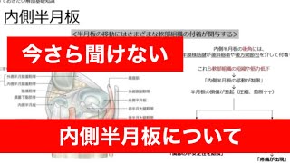 【今さら聞けない膝関節⑥】内側半月板について【スキマ時間で学ぶオーディオブック】