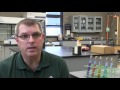 online biology lab. a lab like any other nick butkevich