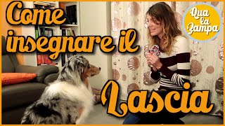 Come insegnare il LASCIA - Addestramento Educazione cani n° 13 | Qua la Zampa