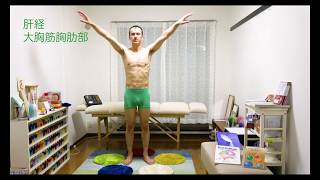 タッチフォーヘルス　14筋体操　字幕入り　touch for health 14 muscles dance