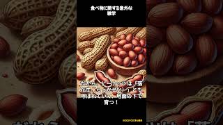 【ずんだもんと学ぶ】食べ物に関する意外な雑学