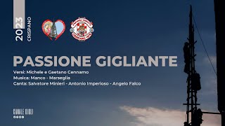 CRISPANO 2023 - PASSIONE GIGLIANTE - GIRATA TIGROTTI