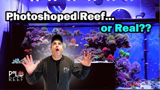 900 Gallon glass drop-down reef aquarium, where are we today?