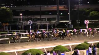 大井記念(SII)　2013年　 フォーティファイド　競馬タウン