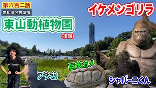 【第六百二話】東山動植物園のイケメンゴリラ「シャバーニくん」に会いに行ってみた！！〜東山スカイタワーの最上階に行って名古屋の街を一望！！（後編）