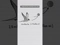 How far does the furthest migrating bird fly? #shorts