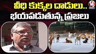 సిటీలో పెరుగుతున్న వీధి కుక్కల దాడులు..భయపడుతున్న ప్రజలు | Hyderabad | V6 News