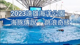 遠雄海洋公園海豚表演。海豚傳說🐬跳浪奇緣