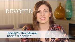 Devoted: Notice the Beauty [Jeremiah 31:3]