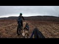 an introduction to dryland mushing