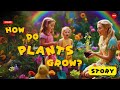 How Plants Grow - A Magical Journey of Seeds to Leaves - SCIENCE STORY