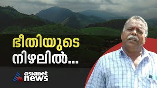 കടുവയും പുലിയും നാട്ടിൽ ; ഭീതിയോടെ തോട്ടം തൊഴിലാളികൾ | Munnar