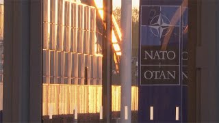 Italian experts: Allowing Ukraine to use NATO weapons to strike Russia will escalate conflict