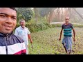 ভুট্টা চাষ maize agriculture সুবর্ণচরের চাষাবাদ।।