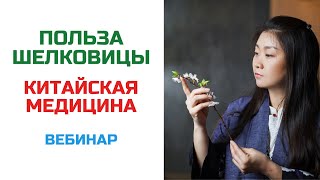 Полезные свойства ШЕЛКОВИЦЫ (листья, корни, веточки, ягоды) | Целитель китайской медицины Нина Лян