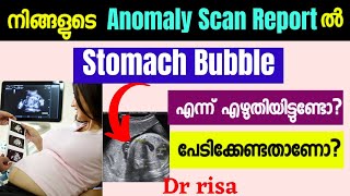 Anomaly Scan Report Malayalam|Stomach Bubbles|Fetal stomach bubbles