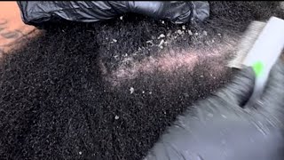 Part 3: Dandruff scratch ASMR