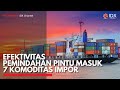 Efektivitas Pemindahan Pintu Masuk 7 Komoditas Impor | IDX CHANNEL