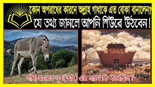 যে অপরাধের কারনে আল্লাহ গাধাকে এত বোকা হিসেবে তৈরি করেছেন?