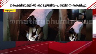 വീട്ടിലെ വേസ്റ്റ് പൈപ്പ് ബ്ലോക്കായി; അകത്ത് സാക്ഷാൽ പെരുമ്പാമ്പ്! | Python