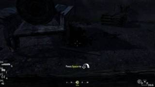 Funniest CoD4 glitch