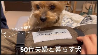 【ヨーキー】50代夫婦と犬の暮らし