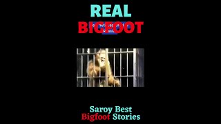 Captured Bigfoot In Cage(Prt2)!!! Is this Real???😨😨 #Bigfoots testimony